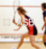 korty asb squash